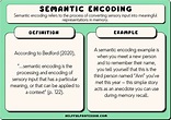 Semantic Encoding: 10 Examples and Definition (2024)