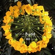Harold Budd - Avalon Sutra - Darla Records
