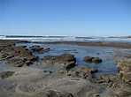 My Vintage Journeys: TIDE POOLS AND THE BIRCH AQUARIUM AT SCRIPPS