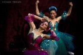New Classical Ballet of Moscow, Cinderella, photo 36 | Filippo Venturi ...