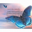 Butterfly Love Small Poster | CafePress | Butterfly quotes, Butterfly ...