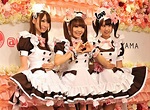 Maid Cafe - Super Cute Hospitality - Meiji Academy