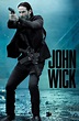 John Wick - Movies Photo (39720453) - Fanpop
