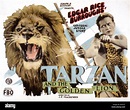TARZAN und der goldene Löwe, James Pierce, 1927 Stockfotografie - Alamy