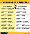What are Latin words in English? - Learn Latin Language Online