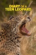 Diary of a Teen Leopard (película 2020) - Tráiler. resumen, reparto y ...