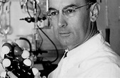 16. April 1943: Albert Hofmann entdeckt die Wirkung von LSD - Forschung ...
