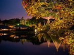 白鳥庭園 紅葉ライトアップ | 【公式】名古屋市観光情報「名古屋コンシェルジュ」