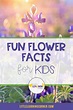 33 Fun Flower Facts for Kids - Little Learning Corner