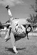 John Liu Chung-Liang Kung Fu Martial Arts, Martial Arts Movies, Martial ...