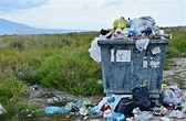 ¿Sabes lo que tiras a la basura? * TYS Magazine