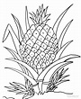 Printable Pineapple Coloring Pages For Kids