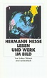 Hermann Hesse. Buch von Volker Michels (Insel Verlag)
