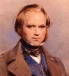 Charles Darwin: biografía y El origen de las especies - Toda Materia