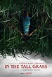 Poster, promo e uscita di In The Tall Grass di Netflix, da un racconto ...