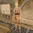 Morrowind:Imare - The Unofficial Elder Scrolls Pages (UESP)