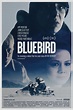 Bluebird - film 2013 - AlloCiné
