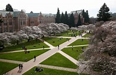 University of Washington could offer course in 'BS'