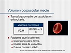 PPT - Abordaje de un paciente con Anemia PowerPoint Presentation - ID ...