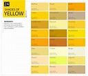 Shades of Yellow Color Palette Chart - graf1x