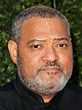 Laurence Fishburne Pictures - Rotten Tomatoes