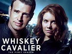 Prime Video: Whiskey Cavalier - Season 1