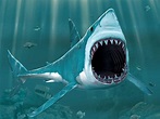 3D Shark Wallpapers - Top Free 3D Shark Backgrounds - WallpaperAccess