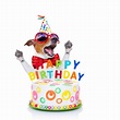 50+ Lovable Birthday Wishes For Your Dog - The Write Greeting