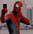 Spider-Man aesthetic icon en 2021 | Fotos de spiderman, Fotos de perfil ...