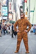 I've Photographed Hundreds Of People Wearing A Tiger Suit | Bored Panda