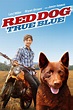 Red Dog: True Blue - Where to Watch and Stream - TV Guide