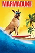 Marmaduke (2010) • filmes.film-cine.com