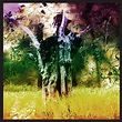 Meeting Of The Waters - EP by Animal Collective | Spotify