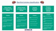 Stroke Classification | Bamford | Oxford | Geeky Medics