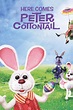 Here Comes Peter Cottontail (1971) - Posters — The Movie Database (TMDB)