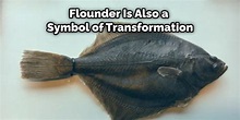 Flounder Meaning, Symbolism, and Totem Detailed Guide (2023)