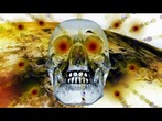 Glass Jaw Explained - YouTube