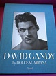 David Gandy Book by Dolce and Gabbana I Have This!! Gift from the best ...