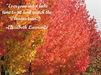 Fall Foliage, Autumn Leaves, Leaf Quotes, Classroom Management Tips ...