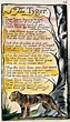 awesome William Blake's The Tyger. So special, this is... Best Quotes ...