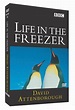 Life in the Freezer (1993)
