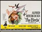THE BIRDS (1963) Hitchcock's seminal thriller featuring Tippi Hedren in ...