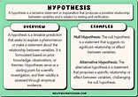 13 Different Types of Hypothesis (2024) - Helpful Professor