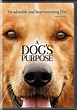 Amazon.com: A Dog's Purpose [DVD]: Britt Robertson, KJ Apa, John Ortiz ...