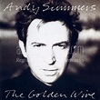 Album Art Exchange - The Golden Wire by Andy Summers - Album Cover Art