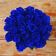 Blue Lagoon Bouquet | Dozen Blue Roses – Rosaholics | Blue roses, Blue ...