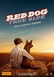 Roadshow unveils ‘Red Dog: True Blue’ teaser poster – The Reel Bits
