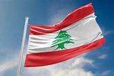 黎巴嫩國旗 圖片 圖畫、圖片和照片檔 - iStock
