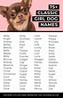 75+ Classic Girl Dog Names for Timeless Puppers - Hey, Djangles.