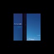 ‎Mundo - The Best of Rodrigo Leão – álbum de Rodrigo Leão – Apple Music